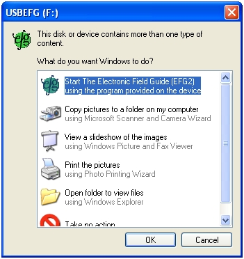 Autoplay Action Screen