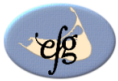 EFG Nantucket