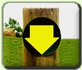 Download the EFG Software