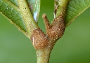 Mata-teto-rach-05-2.jpg