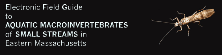 titlebar_copy.gif