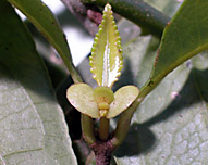 Wein-werc-stip-7213-152.jpg