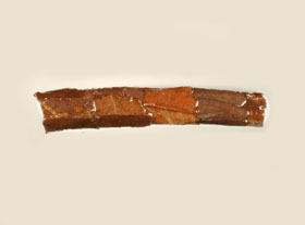 Ptilostomis_case_thm.jpg